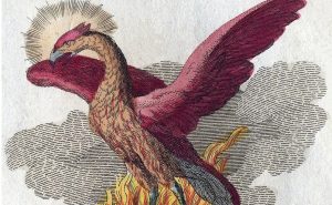 making meaning from endings